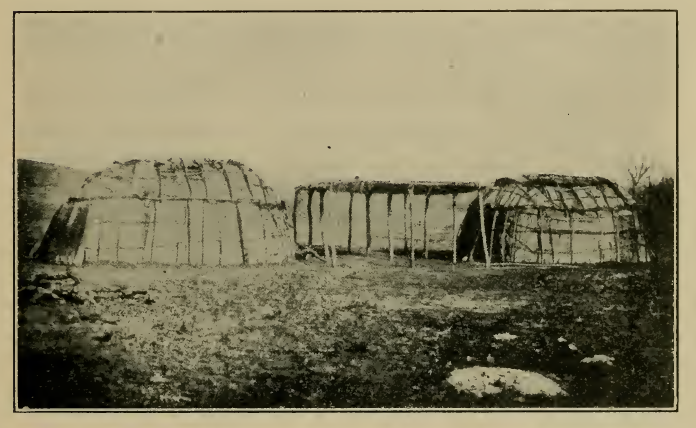 BARK COVERED LODGES
