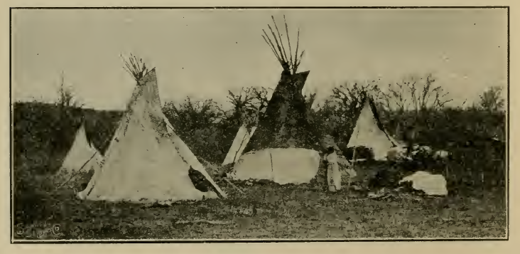 LONE WOLF’S VILLAGE (KIOWA), BUFFALO SKIN LODGES, (From Photograph Made in 1872)